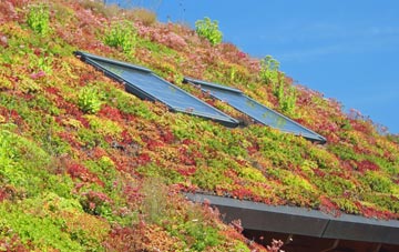 Ardens Grafton living roof systems