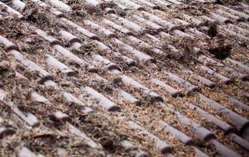 Ardens Grafton roof cleaning companies